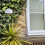 Lavender , , Nr Masham * Grewelthorpe