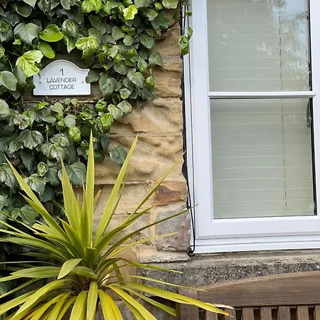 Lavender , Grewelthorpe , Nr Masham * Ripon
