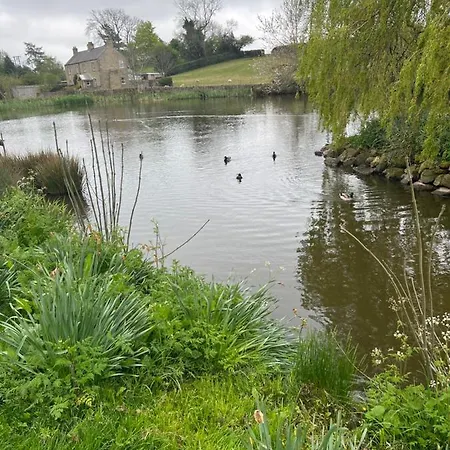 Lavender , Grewelthorpe , Nr Masham Ferienhaus Ripon
