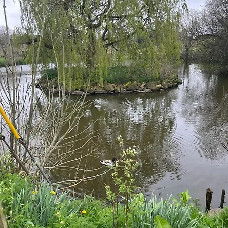 Lavender , , Nr Masham *