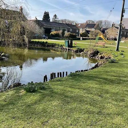 Lavender , , Nr Masham *