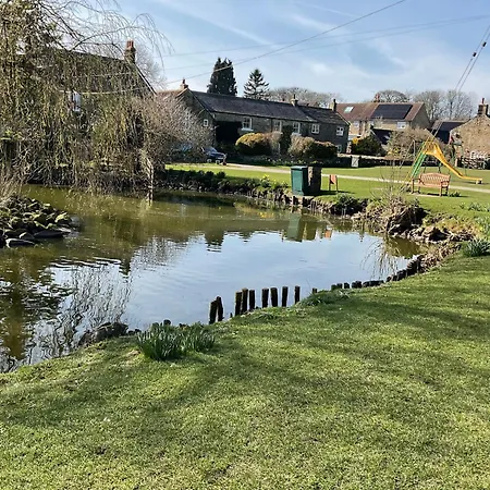 Lavender , Grewelthorpe , Nr Masham * Ripon