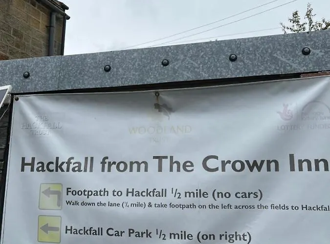 Lavender , , Nr Masham *