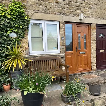 Lavender , , Nr Masham *