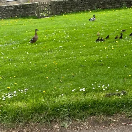 بيت للعطل Lavender , , Nr Masham Grewelthorpe
